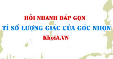 Tỉ số lượng giác của góc nhọn trong tam giác vuông Toán lớp 9 - Hỏi nhanh đáp gọn